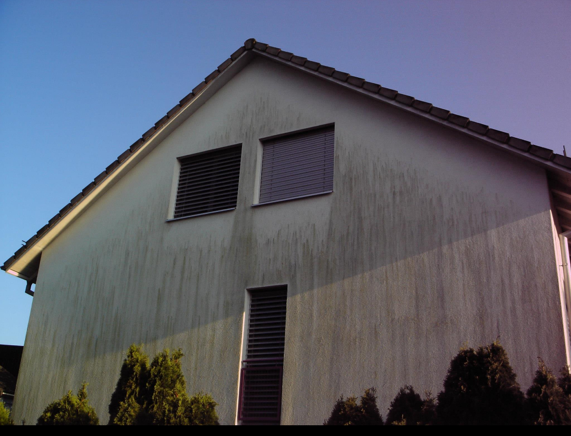 Fassadensanierung vorher